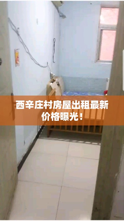 西辛庄村房屋出租最新价格曝光！