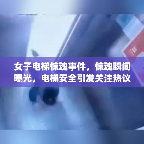 倦鸟思归
