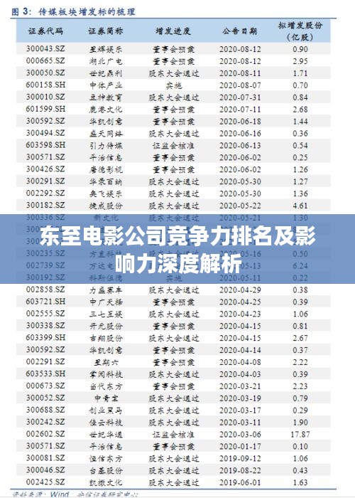 东至电影公司竞争力排名及影响力深度解析