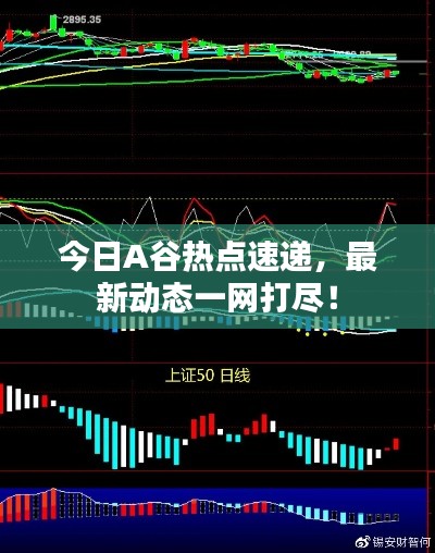 今日A谷热点速递，最新动态一网打尽！