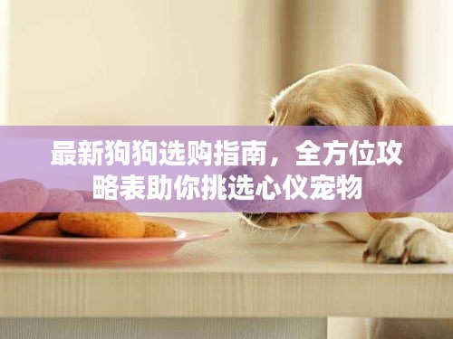 眉开眼笑