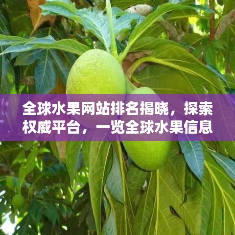 全球水果网站排名揭晓，探索权威平台，一览全球水果信息