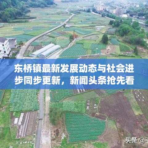 东桥镇最新发展动态与社会进步同步更新，新闻头条抢先看