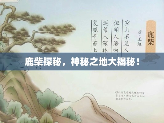鹿柴探秘，神秘之地大揭秘！