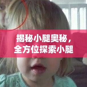 揭秘小腿奥秘，全方位探索小腿健康与美丽！
