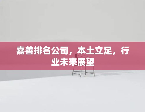 嘉善排名公司，本土立足，行业未来展望