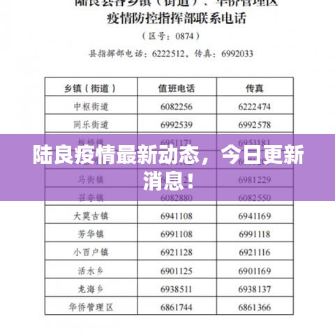 陆良疫情最新动态，今日更新消息！