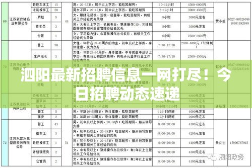 泗阳最新招聘信息一网打尽！今日招聘动态速递