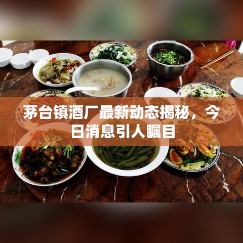 茅台镇酒厂最新动态揭秘，今日消息引人瞩目
