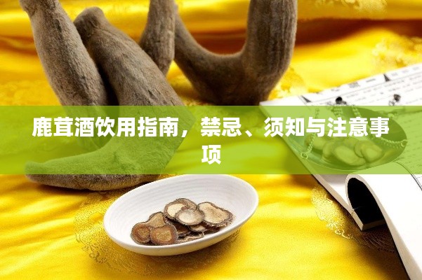 张骞乘槎