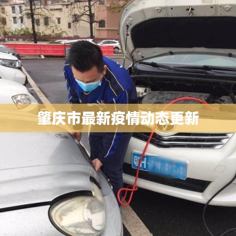 肇庆市最新疫情动态更新