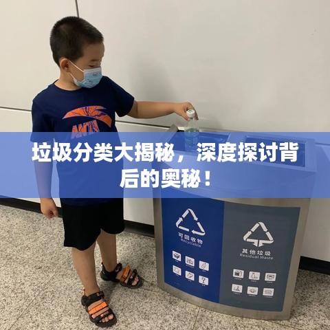 垃圾分类大揭秘，深度探讨背后的奥秘！