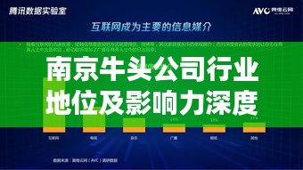 南京牛头公司行业地位及影响力深度解析
