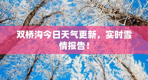 双桥沟今日天气更新，实时雪情报告！