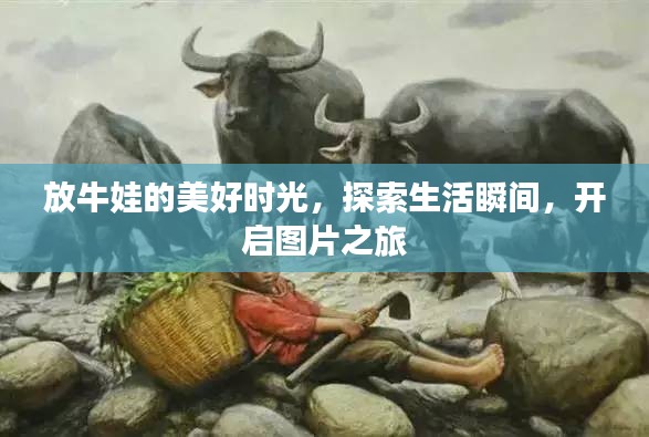 放牛娃的美好时光，探索生活瞬间，开启图片之旅