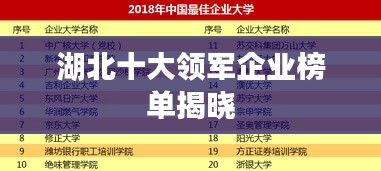 湖北十大领军企业榜单揭晓