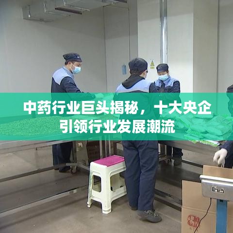 中药行业巨头揭秘，十大央企引领行业发展潮流
