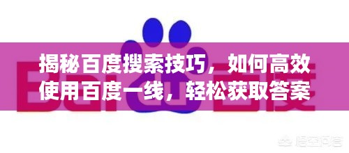 揭秘百度搜索技巧，如何高效使用百度一线，轻松获取答案！