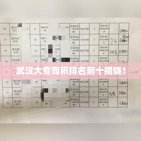 武汉大专面积排名前十揭晓！