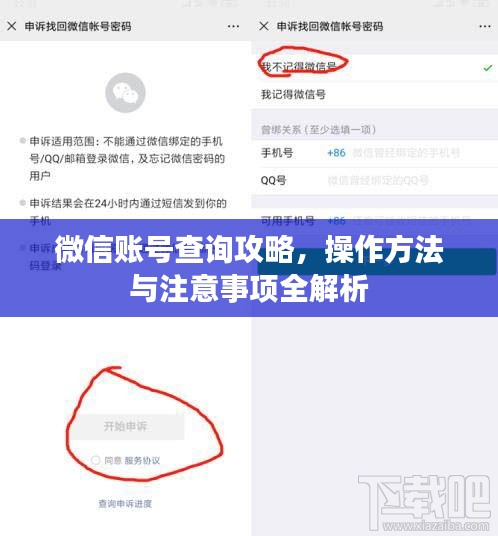 微信账号查询攻略，操作方法与注意事项全解析