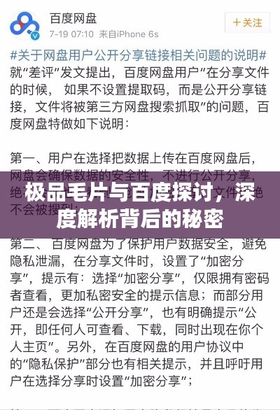 极品毛片与百度探讨，深度解析背后的秘密