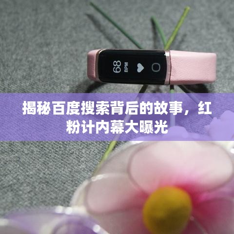 揭秘百度搜索背后的故事，红粉计内幕大曝光