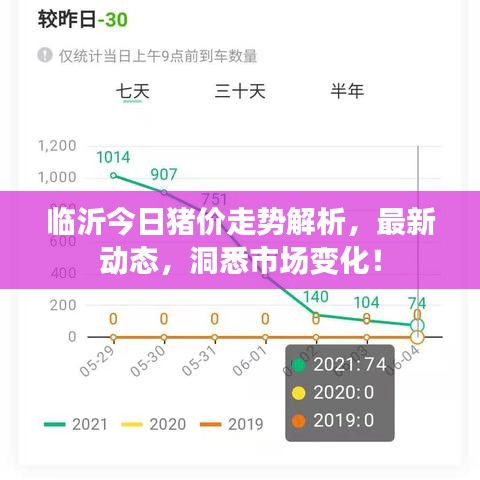 临沂今日猪价走势解析，最新动态，洞悉市场变化！