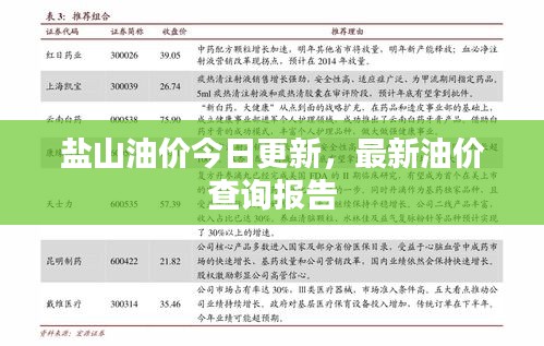 盐山油价今日更新，最新油价查询报告