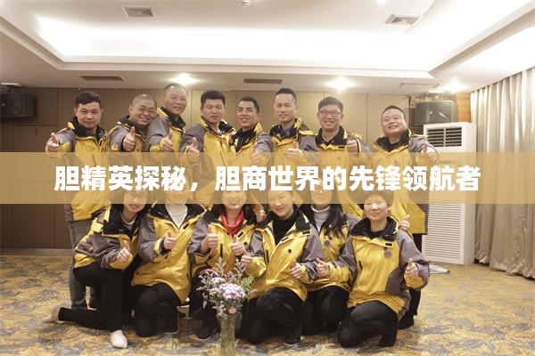 胆精英探秘，胆商世界的先锋领航者