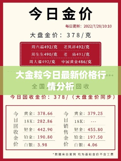 大金粒今日最新价格行情分析
