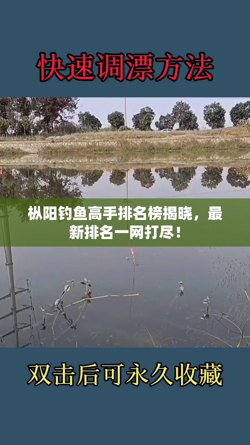 枞阳钓鱼高手排名榜揭晓，最新排名一网打尽！