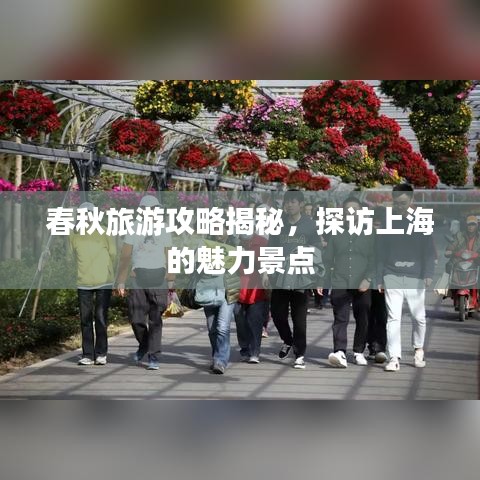 春秋旅游攻略揭秘，探访上海的魅力景点