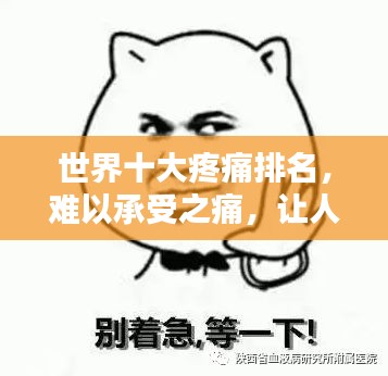 世界十大疼痛排名，难以承受之痛，让人泪目！