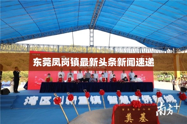 东莞凤岗镇最新头条新闻速递