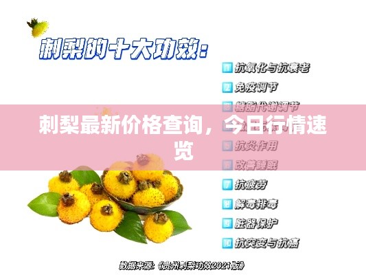 刺梨最新价格查询，今日行情速览