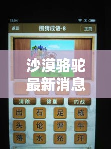 沙漠骆驼最新消息揭秘，今日动态一网打尽