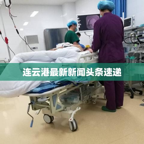 连云港最新新闻头条速递