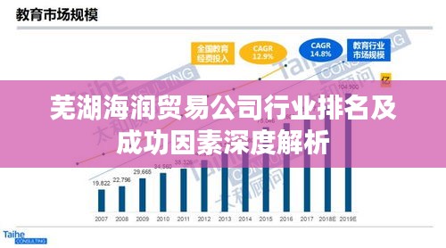芜湖海润贸易公司行业排名及成功因素深度解析