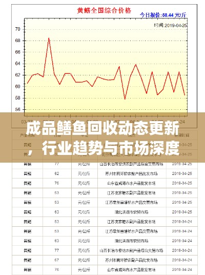 成品鳝鱼回收动态更新，行业趋势与市场深度剖析