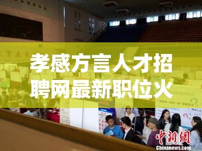 孝感方言人才招聘网最新职位火热招募中
