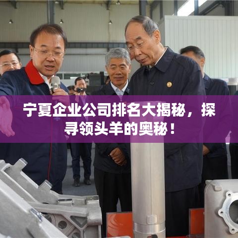 宁夏企业公司排名大揭秘，探寻领头羊的奥秘！