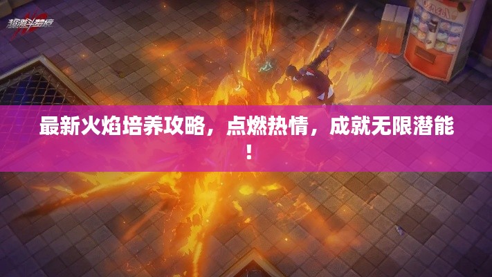 最新火焰培养攻略，点燃热情，成就无限潜能！