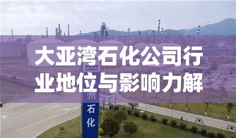 大亚湾石化公司行业地位与影响力解析，排名及影响力揭秘