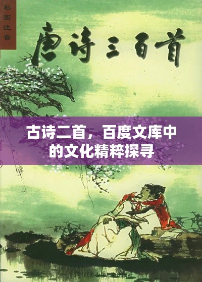 古诗二首，百度文库中的文化精粹探寻