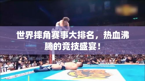 世界摔角赛事大排名，热血沸腾的竞技盛宴！