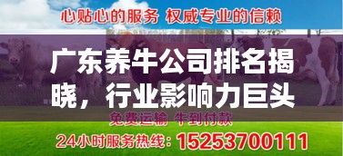 广东养牛公司排名揭晓，行业影响力巨头榜单