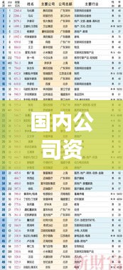 国内公司资产排名榜重磅出炉，揭示中国企业财富巨头榜单！