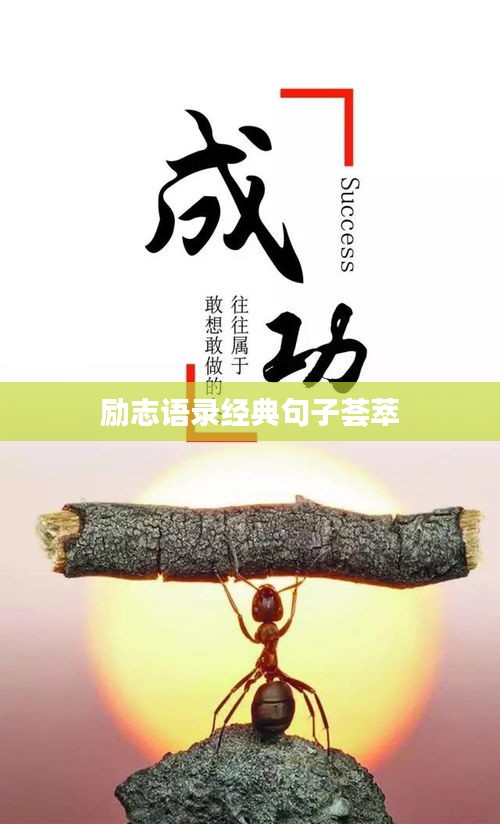环肥燕瘦