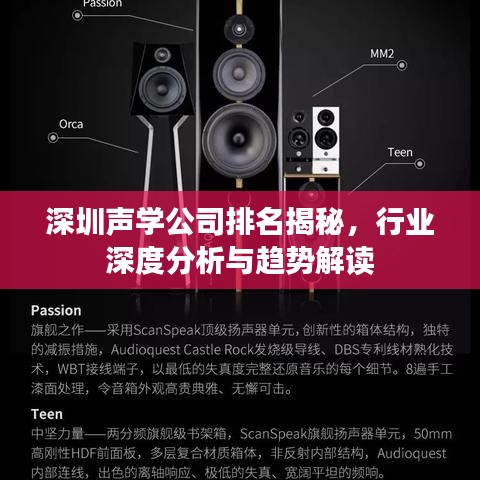深圳声学公司排名揭秘，行业深度分析与趋势解读