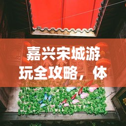 只争朝夕